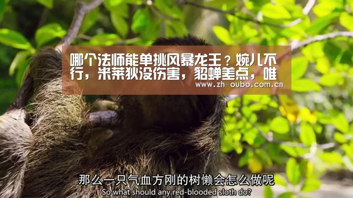 哪个法师能单挑风暴龙王?婉儿不行,米莱狄没伤害,貂蝉差点,唯有她可以!【欧博游戏】(图3) 欧博ABG